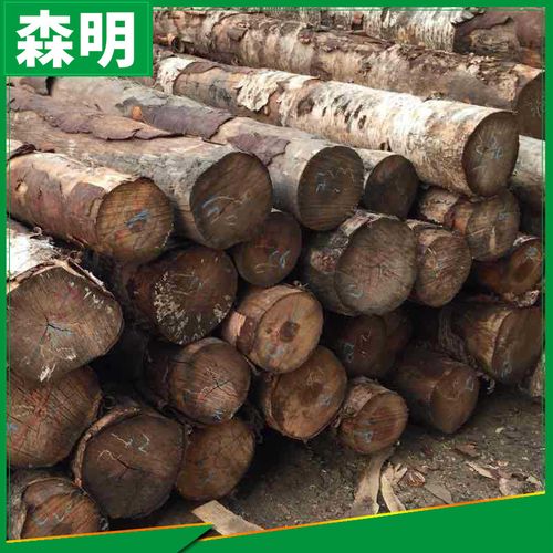 现货销售俄罗斯桦木家具木材桦木木材原木批发1
