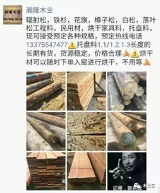 找原木,找板材,在这里,2017年9月16日 ,精品木材 销售信息,履约思源,不忘初心 财经 网
