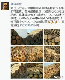 找原木,找板材,在这里,2017年12月16日,精品木材销售信息,履约思源,不忘初心 财经 网