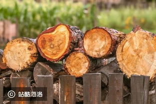先提升行业效率,再切供应链金融, 真木网 为贸易商提供木材 b2b 平台