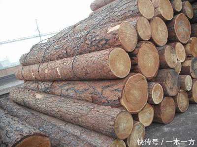 创秋木业资讯:报告预测美国木工需求将每年增长2.4%