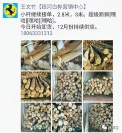 找原木,找板材,在这里,2017年12月4日,精品木材销售信息,履约思源,不忘初心 财经 网
