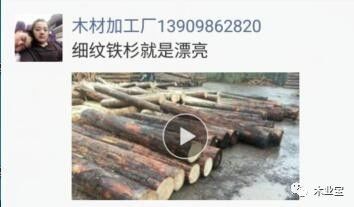 找原木,找板材,在这里,2017年10月17日,精品木材销售信息,履约思源,不忘初心 财经 网