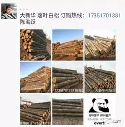 找原木,找板材,在这里,2017年4月21日 ,精品木材销售信息,履约思源,不忘初心 