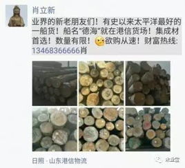 找原木,找板材,在这里,2017年4月15日 ,精品木材销售信息,履约思源,不忘初心 