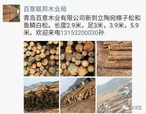 找原木,找板材,在这里,2017年4月4日 ,精品木材销售信息,履约思源,不忘初心 