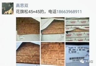 找原木,找板材,在这里,2017年9月26日 ,精品木材 销售信息,履约思源,不忘初心 