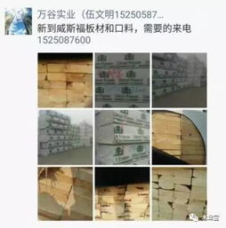 找原木,找板材,在这里,2017年4月21日 ,精品木材销售信息,履约思源,不忘初心 