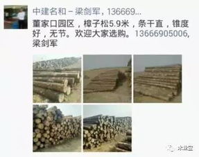 找原木,找板材,在这里,2017年4月8日 ,精品木材销售信息,履约思源,不忘初心 其它 网