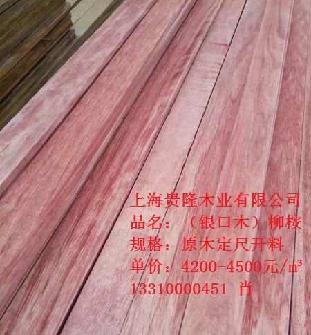 上海