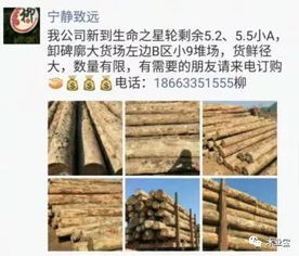 找原木,找板材,在这里,2017年11月 27日,精品木材销售信息,履约思源,不忘初心