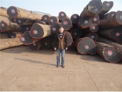 上海洪煌木业闵行区经营部 专业木材销售,打造优质建筑材料